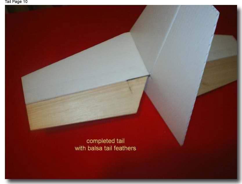 tail10 (23K)