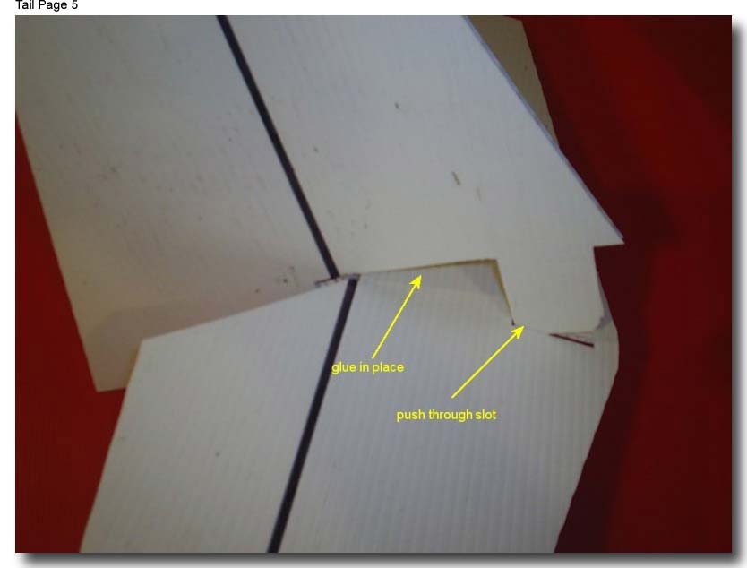 tail5 (22K)