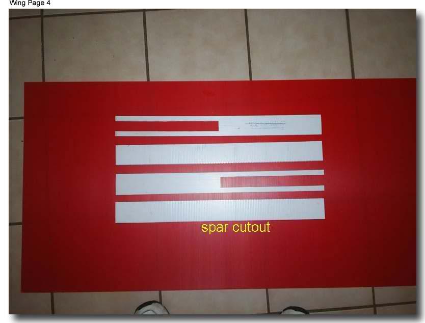 wing4 (28K)